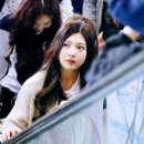 조이엔조이 이미지