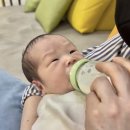신생아 설소대 단축증 (혀 유착증) 수술 후기 | 군포 늘푸른소아과 비용 주차 보험 청구