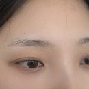 눈썹명가