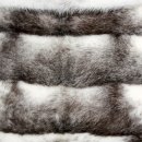 성진세탁 이미지