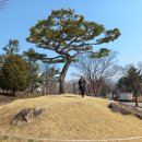 박경리근린공원 이미지