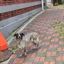 빛과 소금 | 나의 빛과 소금... 서울 강서구 내발산동 빵 맛집 <타르데마 베이커리 우장산점> 예존 방문후기