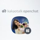 비바 인셀덤