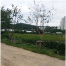 영화로 배우는 기초영어 이미지