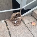 소극장 둥지 | 아드리안 비야스 로하스 : 적군의 언어 전시 후기