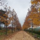 토막나루길 이미지