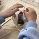 해평초등학교 병설유치원 이미지