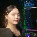 여자혼자 싱가폴 19시간 스탑오버 경유여행 후기