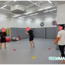 MMA주짓수 이미지