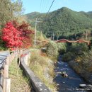 햇살내리는 민박 이미지