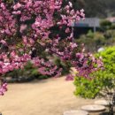 하늘정원 빌리지 이미지