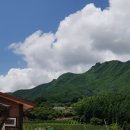 창공농장 네이버블로그