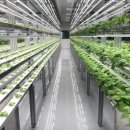 인터바이오 이미지