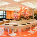 드도그카페 이미지