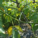 덕곡농장 이미지