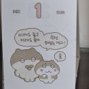 12월 1일 - 12월 8일