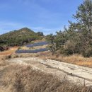 양천목장 이미지