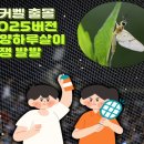 지금은 AI시대_chatGPT 활용꿀팁 이미지
