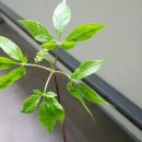 고흥팜2농장 이미지