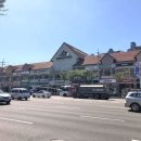 황골온누리 약국 이미지