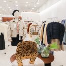 부루앤주디 - 전주시 덕진구 세병서로 9 | 부루앤주디