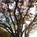 영천통합보건지소 이미지