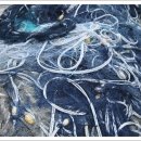 새벽항구 이미지