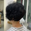 폴킴헤어 이미지