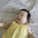 펀피쉬알 | [경상북도 영덕] 4개월 아기랑 경상북도 영덕 2박3일 여행코스 공유