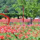 청송정원 이미지