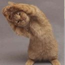 자연한의원 이미지