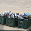 서광농장 이미지