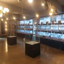 톰앤캣 광명고양이분양 이미지