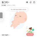 (주)광진중기 | 임신 중기 16주 증상 시기 총정리 | 첫 태동·철분제·신경관결손 검사