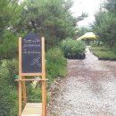 다보스병원직장어린이집 이미지