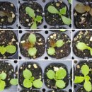 솔마1로 이미지