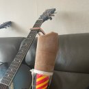 오렌즈 사상점 이미지