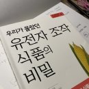 백장미사 이미지