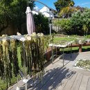 윤주농장 이미지