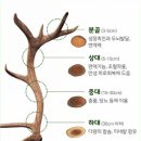 일등온누리약국 | 수험생 영양제,집중력높이는 약 뭐가있을까? 탑6. 에너지가 필요한 공부하는 학생에게 브레인푸드...