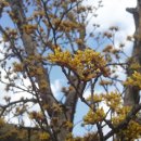 스마트폰 사진촬영과 SNS 활용 이미지