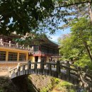 울산역안내소 | 경남 예쁜절 울산 석남사 부처님오신날 가는길 가지산 단풍 산책 가볼만한 조용한 절