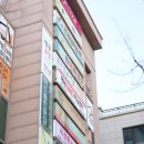 올바른 태권도 이미지