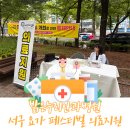 밝은누리안과병원 | 대전 서구 요가 페스티벌, 밝은누리안과병원 의료지원 현장 스케치