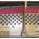 그랜드유치원 이미지