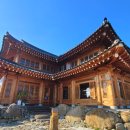 부여애견 이미지