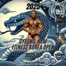 늘푸른전당 공연장 티스토리
