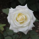 인천대공원 내 이미지