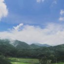 모나크cc 이미지