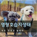 중리 어린이공원 화장실 | 속초 영랑호습지생태공원 옆 반려견 놀이터 애견동반 강추